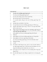 thực trạng từ hoạt động tái cấu trúc hệ thống ngân hàng tại việt nam giai đoạn 2009-2011