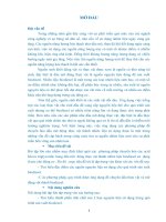 phương pháp chuyển hóa các acid béo và triglyceride trong dầu mỡ động thực vật thành nhiên liệu biodiesel