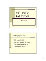 cấu trúc tài chính