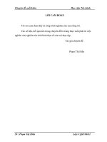 Hưng Yên - Giải pháp tăng cường thu hút vốn đầu tư trực tiếp nước ngoài cho ngành công nghiệp