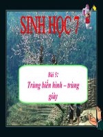 bài giảng sinh học 7 bài 5 trùng biến hình và trùng giày