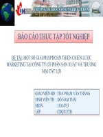 một số giải pháp hoàn thiện chiến lược marketing tại công ty cổ phần sản xuất và thương mại cát lợi