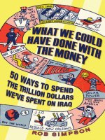 simpson - what we could have done with the money; 50 ways to spend the trillion dollars we've spent on iraq (2008)