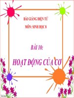 bài giảng sinh học 8 bài 10 hoạt động của cơ