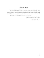 giải pháp tăng cường quản lý rủi ro tín dụng tại ngân hàng tmcp tiên phong