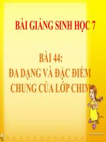 bài giảng sinh học 7 bài 44 đa dạng và đặc điểm chung của lớp chim