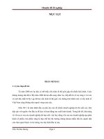 giải pháp nâng cao chất lượng thẩm định tài chính dự án đầu tư tại ngân hàng tmcp công thương việt nam - chi nhánh nam thăng long
