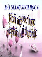 bài giảng sinh học 6 bài 43 khái niệm sơ lược về phân loại thực vật