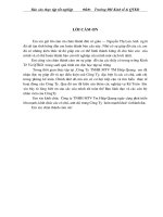 thực trạng công tác kế toán công ty tnhh một thành viên thương mại hiệp quang