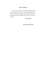 Đẩy mạnh xuất khẩu hàng hoá ở nước cộng hoà dân chủ nhân dân lào trong quá trình hội nhập kinh tế quốc tế