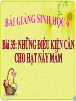 bài giảng sinh học 6 bài 35 những điều kiện cần cho hạt nảy mầm
