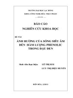 ảnh hưởng của sóng siêu âm đến hàm lượng phenolic trong đậu đen