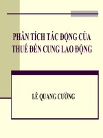PHÂN TÍCH TÁC ĐỘNG CỦA THUẾ ĐẾN CUNG LAO ĐỘNG
