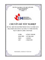 một số giải pháp nhằm nâng cao hiệu quả hoạt động bán hàng tại công ty tnhh thương mại và dịch vụ hiếu ánh ngọc