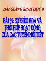 bài giảng sinh học 8 bài 59 sự điều hòa và phối hợp hoạt động của các tuyến nội tiết