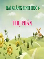 bài giảng sinh học 6 bài 30 thụ phấn