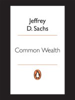 common wealth - jeffrey sachs