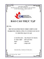 một số giải pháp hoàn thiện chiến lược marketing trong công ty cổ phần sản xuất và thương mại cát lợi