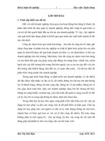 hoàn thiện chu trình kế toán doanh thu tại công ty tnhh cao su giải phóng trong điều kiện tin học hóa