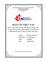 một số giải pháp nhằm hoàn thiện công tác đào tạo và phát triển nhân sự tại công ty tnhh thương mại và dịch vụ hiếu ánh ngọc