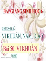 bài giảng sinh học 6 bài 50 vi khuẩn