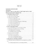 giải pháp phát triển cho vay tiêu dùng tại ngân hàng tmcp việt nam thịnh vượng – chi nhánh hà nội