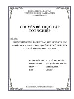 hoàn thiện công tác kế toán tiền lương và các khoản trích theo lương tại công ty cổ phần sản xuất và thương mại lam sơn