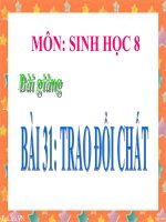 bài giảng sinh học 8 bài 31 trao đổi chất