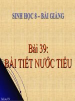 bài giảng sinh học 8 bài 39 bài tiết nước tiểu