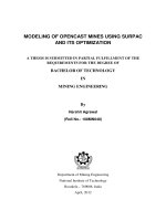 MODELING OF OPENCAST MINES USING SURPAC AND ITS OPTIMIZATION
