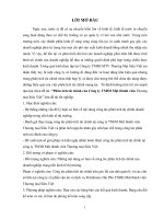 phân tích tài chính của công ty tnhh một thành viên thương mại siêu việt