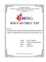 giải pháp hoàn thiện hệ thống kênh phân phối tại công ty tnhh thương mại ô tô xe máy hoàng gia  