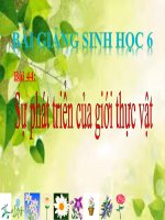 bài giảng sinh học 6 bài 44 sự phát triển của giới thực vật