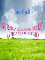 bài giảng sinh học 8 bài 52 phản xạ có điều kiện và phản xạ không có điều kiện