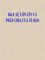 bài giảng sinh học 6 bài 8 sự lớn lên và phân chia tế bào