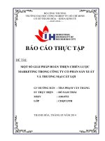 một số giải pháp hoàn thiện chiến lược marketing trong công ty cổ phần sản xuất và thương mại cát lợi