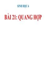 bài giảng sinh học 6 bài 21 quang hợp