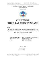 kế toán nguyên vật liệu với việc nâng cao hiệu quả sử dụng vốn lưu động trong công ty tnhh chăn nuôi và chế biến thức ăn gia súc đông nam á