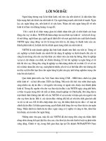Giải pháp nâng cao chất lượng thẩm định tài chính dự án đầu tư tài chính Chi nhánh NHNo  PTNN Nam Hà Nội
