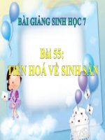 bài giảng sinh học 7 bài 55 tiến hóa về sinh sản