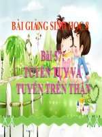 bài giảng sinh học 8 bài 57 tuyến tụy và tuyến trên thận