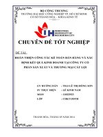 hoàn thiện công tác kế toán bán hàng và xác định kết quả kinh doanh tại công ty cổ phần sản xuất và thương mại cát lợi