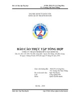 báo cáo tổng hợp về tình hình hoạt động kinh doanh tại công ty tnhh minh hà