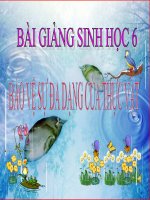 bài giảng sinh học 6 bài 49 bảo vệ sự đa dạng của thực vật