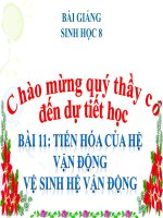 bài giảng sinh học 8 bài 11 tiến hóa của hệ vận động. vệ sinh hệ vận động