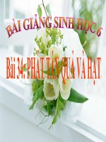 bài giảng sinh học 6 bài 34 phát tán quả và hạt