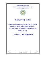 Nghiên cứu chuyển giao tiến bộ kỹ thuật sản xuất nông nghiệp cho đồng bào dân tộc thiểu số trên địa bàn huyện lắk, tỉnh đắk lăk