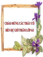 bài giảng sinh học 6 bài 15 cấu tạo của thân non