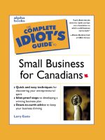 idiots guide - complete idiots guide to small business