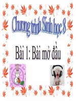 bài giảng sinh học 8 bài 1 bài mở đầu